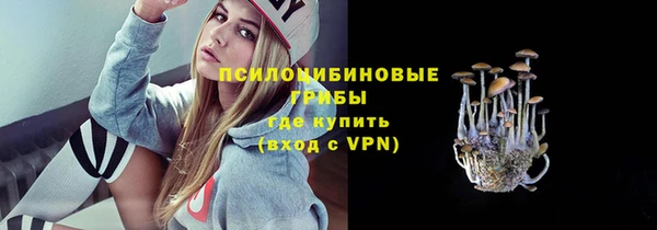 стафф Горнозаводск