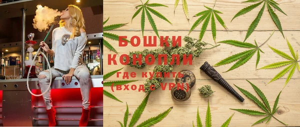 стафф Горнозаводск