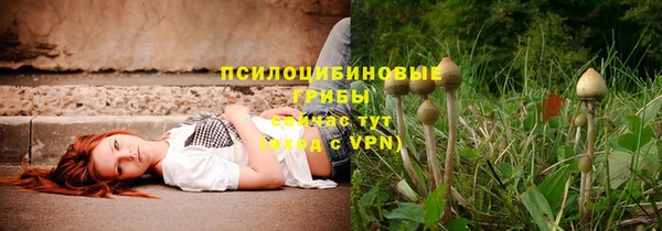 стафф Горнозаводск